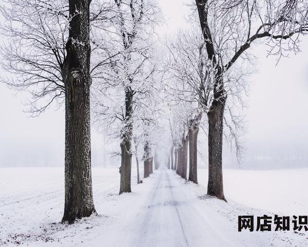 淘宝数据查询软件有哪些（第三方数据分析工具推荐）