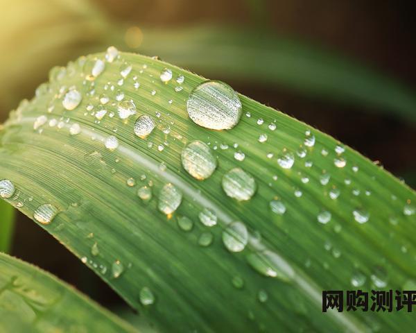 高端笔记本电脑什么品牌最好（十大最耐用笔记本电脑）