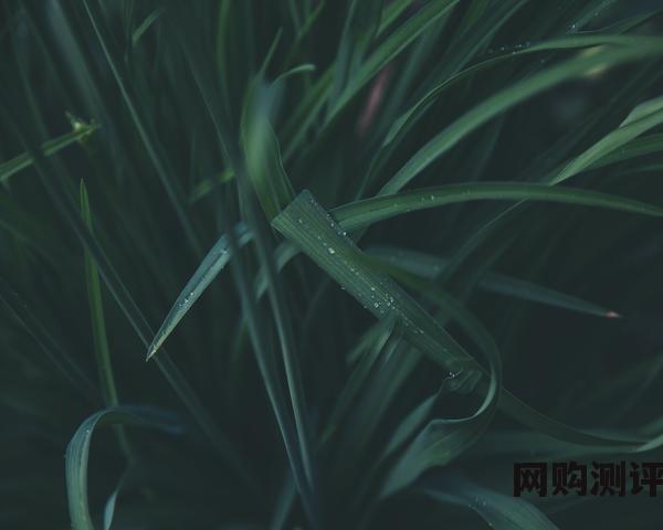 淘宝违规行为分为哪两种类型（一般违规行为具体内容）