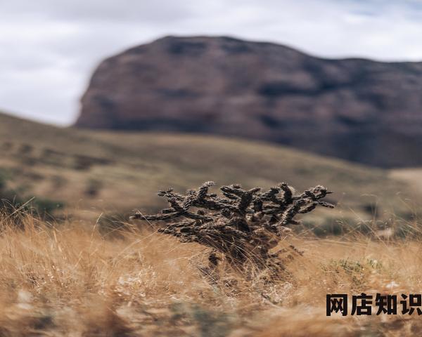 淘宝访问受限怎么办（限制访问的解决教程）