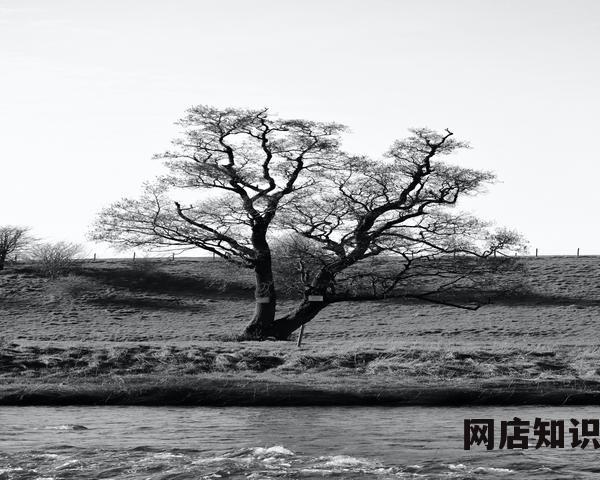 淘宝闲鱼二手手机靠谱吗（买二手手机的避坑技巧）