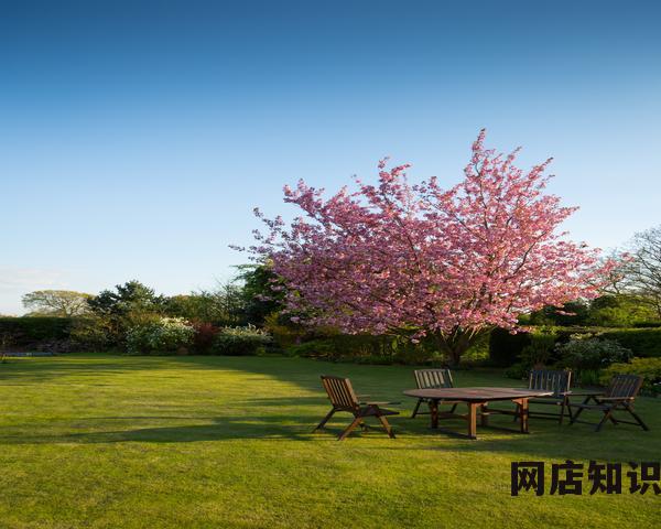 淘宝芭芭农场如何升级？怎么升级快？
