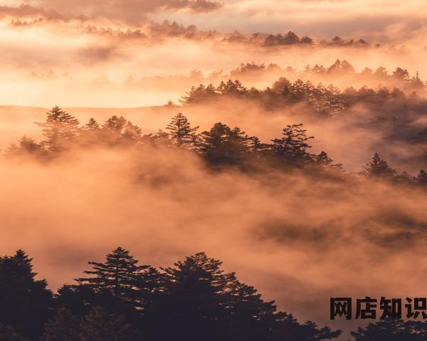 如何加入淘宝充值平台