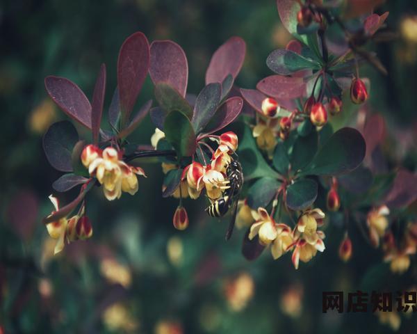 如何用手机上淘宝