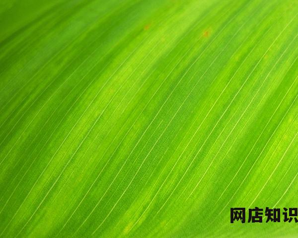 如何获取淘宝金币