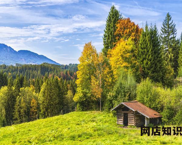 如何成为淘宝卖家
