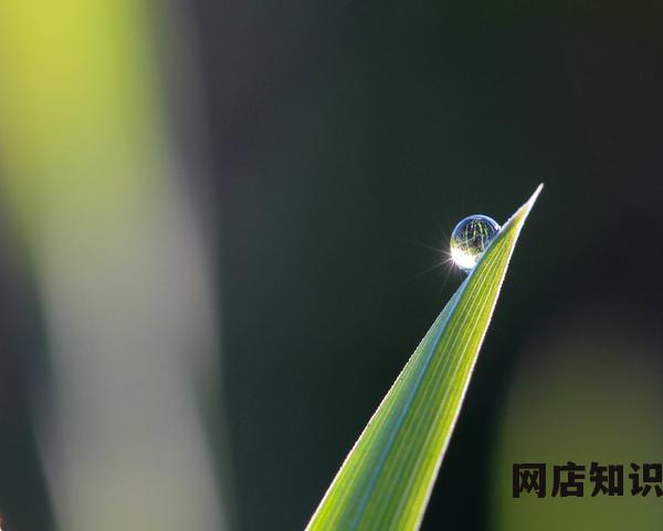 手机淘宝抢红包怎么抢