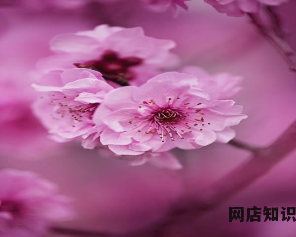 淘宝crm什么意思 淘宝crm什么意思