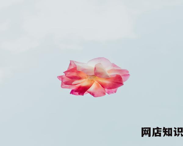 如何注册淘宝达人