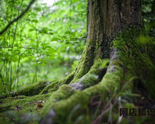 商家怎么联系淘宝小二 商家怎么联系淘宝小二