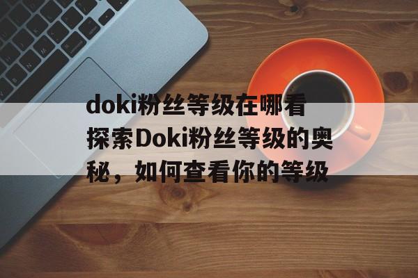 doki粉丝等级在哪看 探索Doki粉丝等级的奥秘，如何查看你的等级