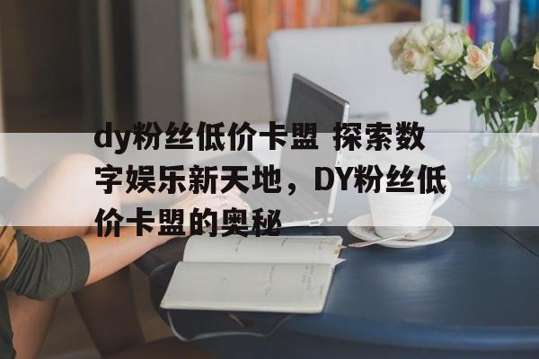dy粉丝低价卡盟 探索数字娱乐新天地，DY粉丝低价卡盟的奥秘