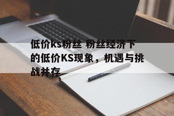 低价ks粉丝 粉丝经济下的低价KS现象，机遇与挑战并存