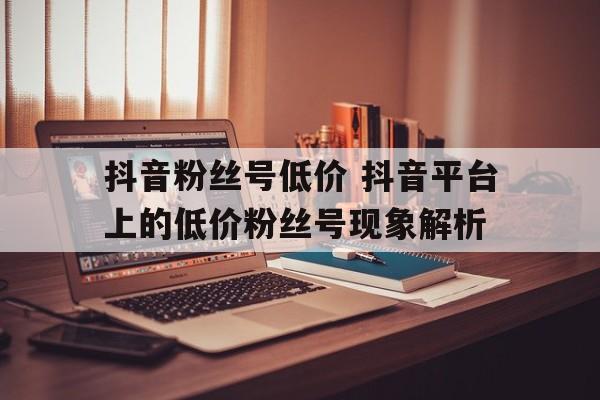 抖音粉丝号低价 抖音平台上的低价粉丝号现象解析