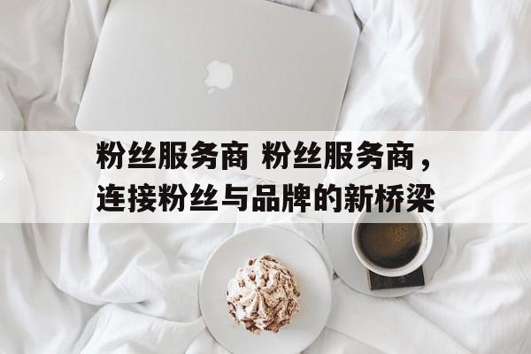 粉丝服务商 粉丝服务商，连接粉丝与品牌的新桥梁