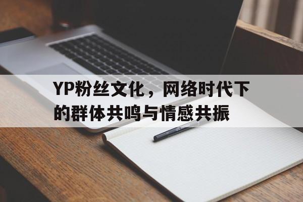 YP粉丝文化，网络时代下的群体共鸣与情感共振