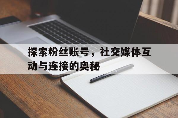 探索粉丝账号，社交媒体互动与连接的奥秘