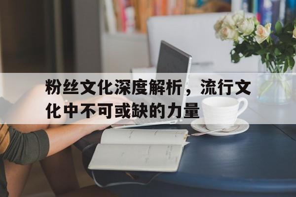 粉丝文化深度解析，流行文化中不可或缺的力量