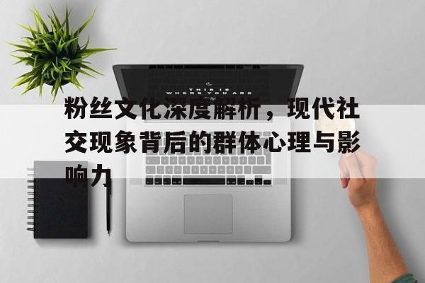 粉丝文化深度解析，现代社交现象背后的群体心理与影响力