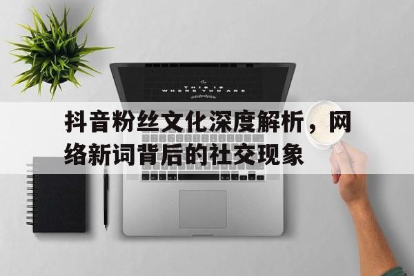 抖音粉丝文化深度解析，网络新词背后的社交现象