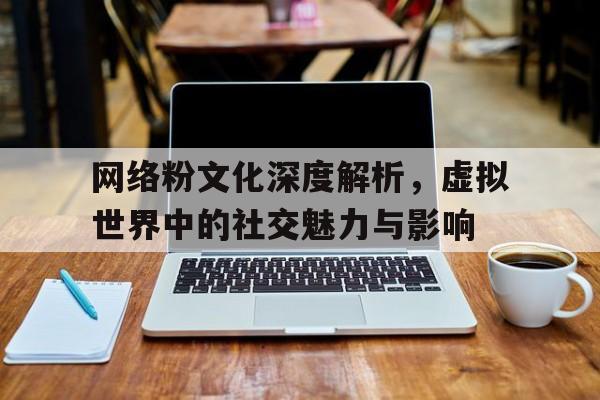 网络粉文化深度解析，虚拟世界中的社交魅力与影响