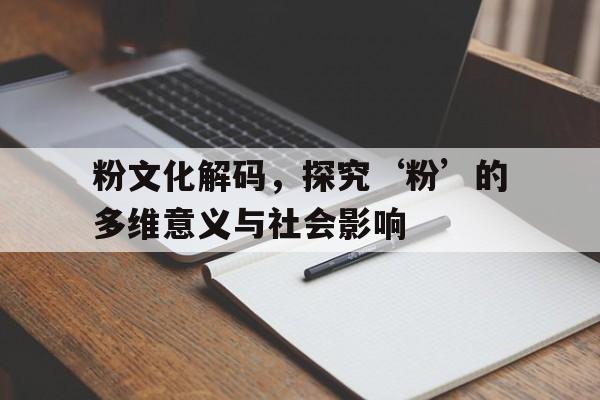 粉文化解码，探究‘粉’的多维意义与社会影响