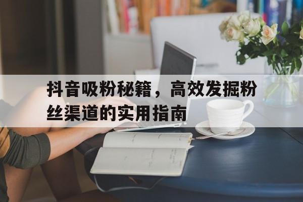 抖音吸粉秘籍，高效发掘粉丝渠道的实用指南