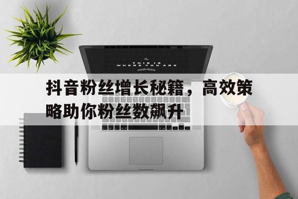 抖音粉丝增长秘籍，高效策略助你粉丝数飙升