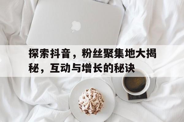 探索抖音，粉丝聚集地大揭秘，互动与增长的秘诀