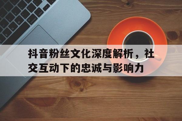 抖音粉丝文化深度解析，社交互动下的忠诚与影响力