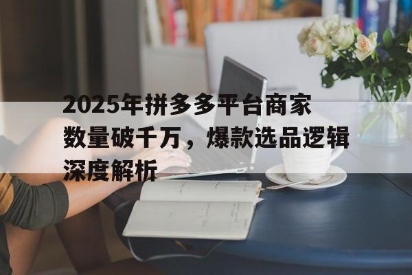 2025年拼多多平台商家数量破千万，爆款选品逻辑深度解析