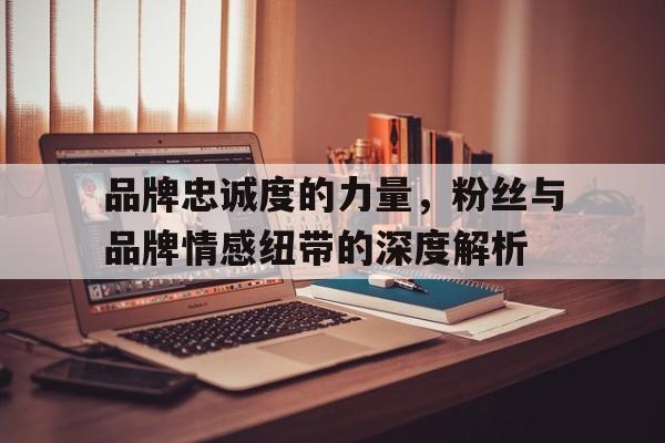 品牌忠诚度的力量，粉丝与品牌情感纽带的深度解析