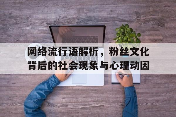 网络流行语解析，粉丝文化背后的社会现象与心理动因