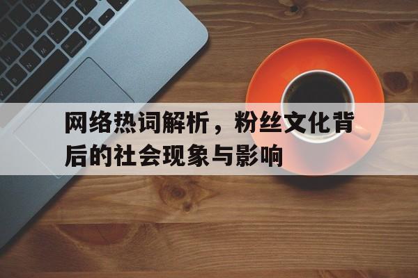 网络热词解析，粉丝文化背后的社会现象与影响
