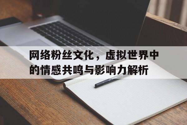 网络粉丝文化，虚拟世界中的情感共鸣与影响力解析