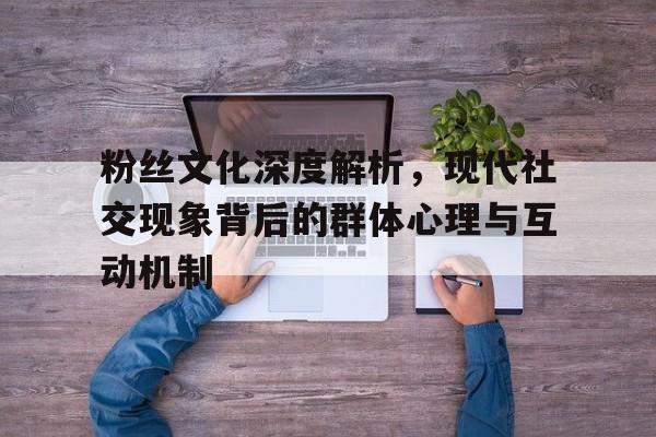 粉丝文化深度解析，现代社交现象背后的群体心理与互动机制