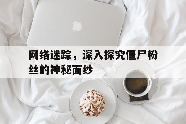 网络迷踪，深入探究僵尸粉丝的神秘面纱