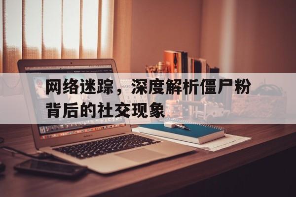 网络迷踪，深度解析僵尸粉背后的社交现象