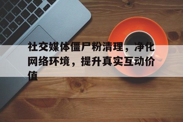 社交媒体僵尸粉清理，净化网络环境，提升真实互动价值
