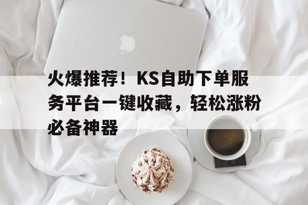 火爆推荐！KS自助下单服务平台一键收藏，轻松涨粉必备神器