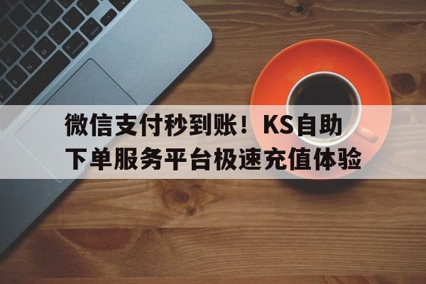 微信支付秒到账！KS自助下单服务平台极速充值体验