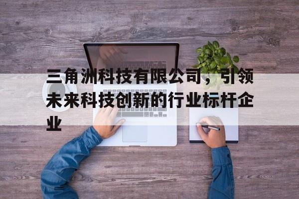 三角洲科技有限公司，引领未来科技创新的行业标杆企业