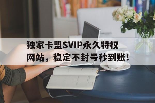 独家卡盟SVIP永久特权网站，稳定不封号秒到账！
