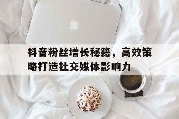抖音粉丝增长秘籍，高效策略打造社交媒体影响力