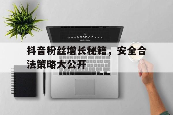 抖音粉丝增长秘籍，安全合法策略大公开
