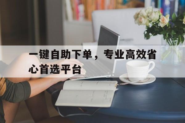 一键自助下单，专业高效省心首选平台