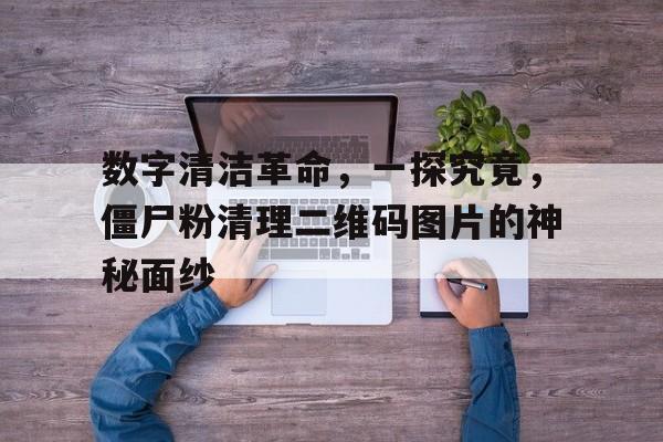 数字清洁革命，一探究竟，僵尸粉清理二维码图片的神秘面纱