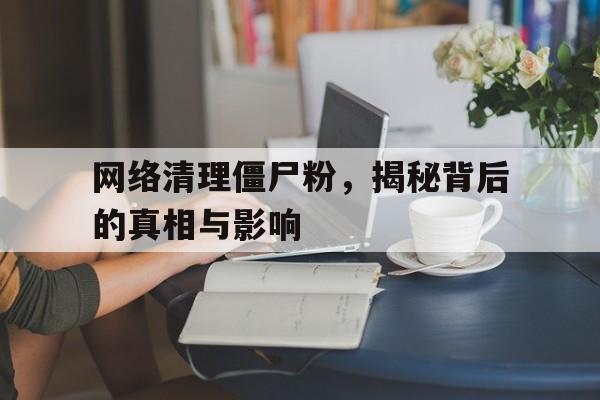 网络清理僵尸粉，揭秘背后的真相与影响