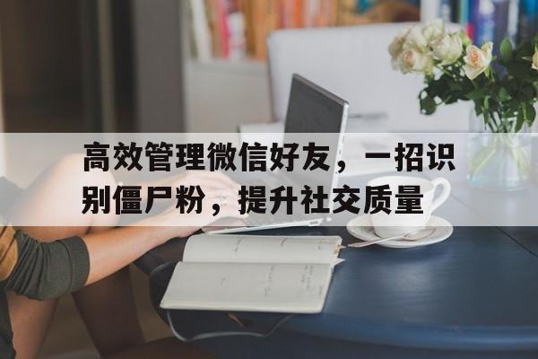 高效管理微信好友，一招识别僵尸粉，提升社交质量