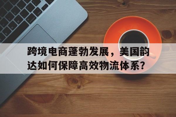 跨境电商蓬勃发展，美国韵达如何保障高效物流体系？